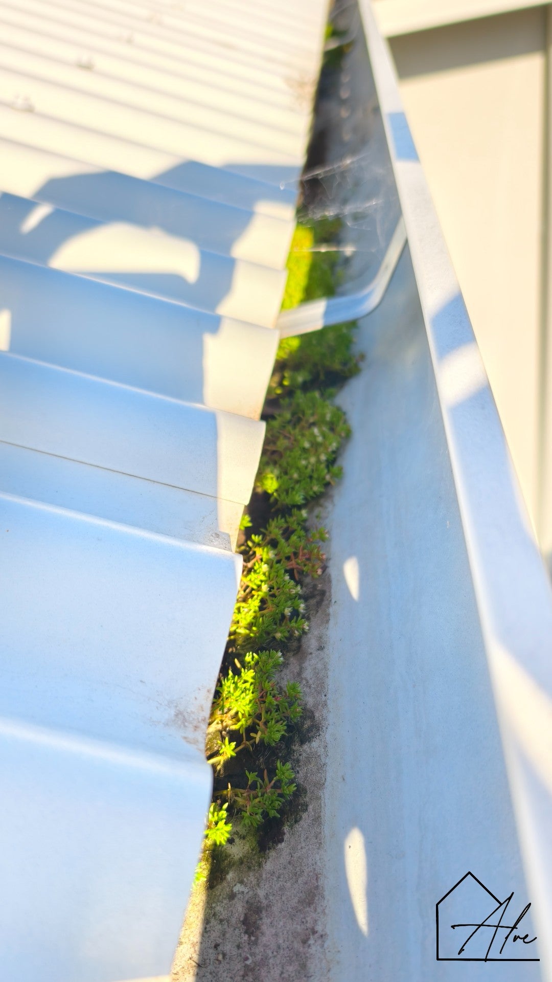 Small Scoop, Big Difference – Clean Gutters Without the Mess