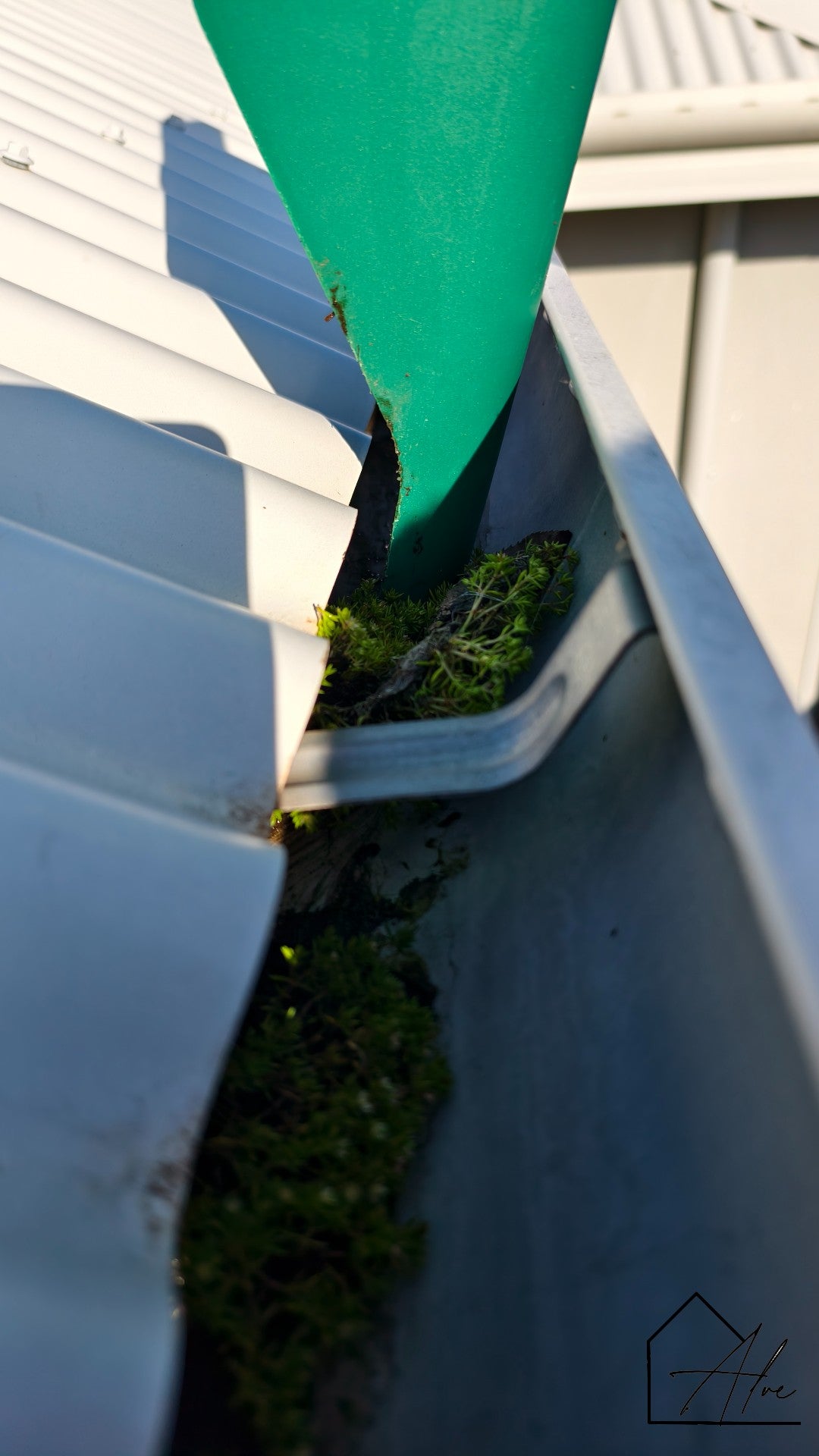 Small Scoop, Big Difference – Clean Gutters Without the Mess