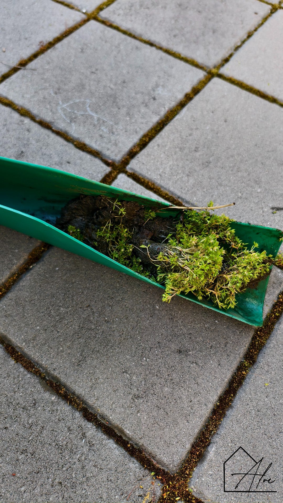 Small Scoop, Big Difference – Clean Gutters Without the Mess