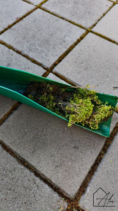 Small Scoop, Big Difference – Clean Gutters Without the Mess