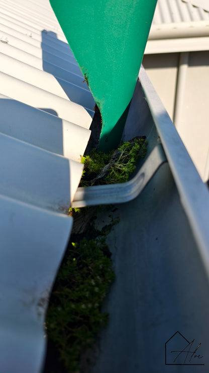 Small Scoop, Big Difference – Clean Gutters Without the Mess